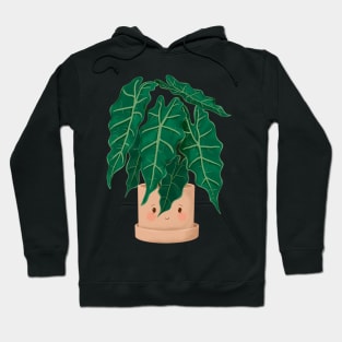 Cute Plant Illustration, Alocasia Illustration Hoodie